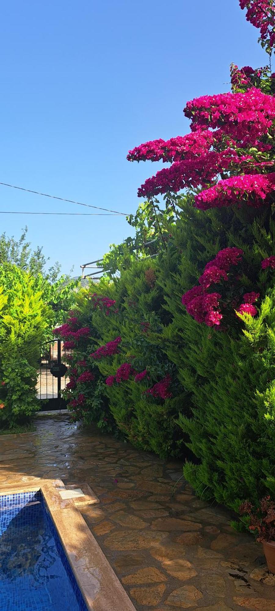 Villa Ebrar Dalyan 穆拉 外观 照片